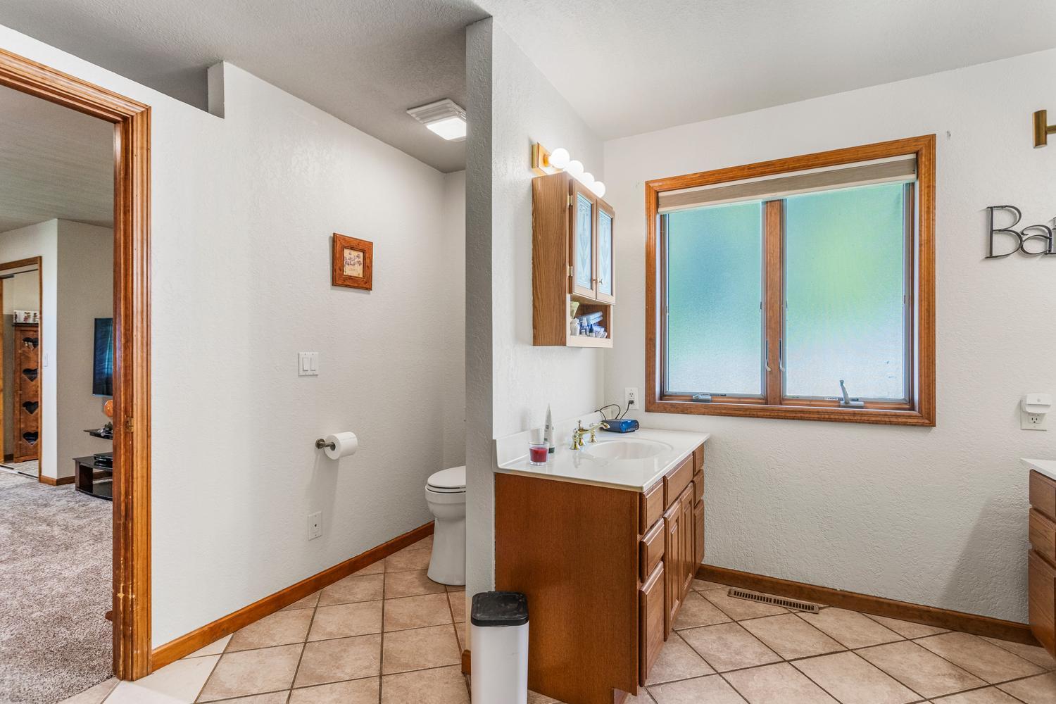 12317 North 1100 East Road Catlin, IL 61817 - Photo 26 of 44 a bathroom with a sink mirror and a window