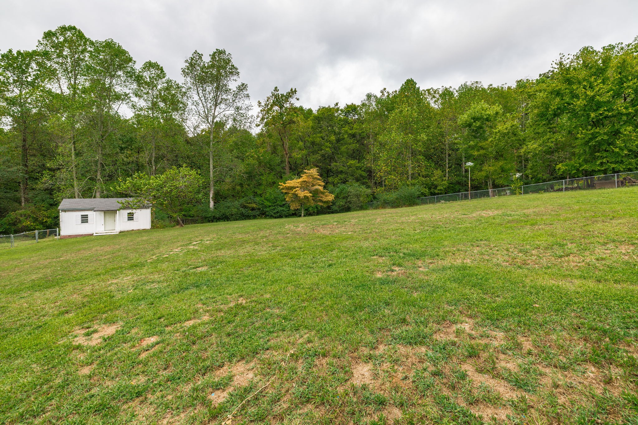 5776 Craft Road Joelton, TN 37080 - Photo 41 of 57 a view of a big yard with large trees