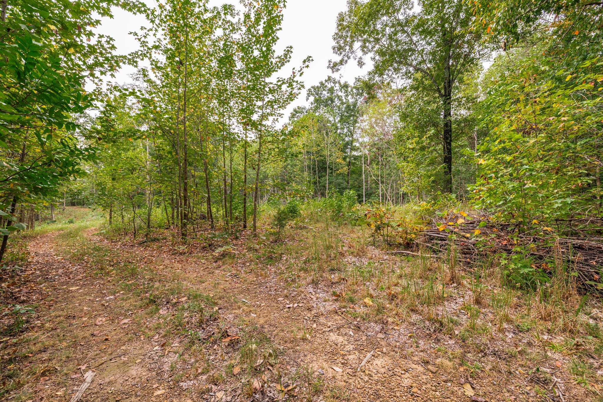 5776 Craft Road Joelton, TN 37080 - Photo 43 of 57 a view of outdoor space and trees