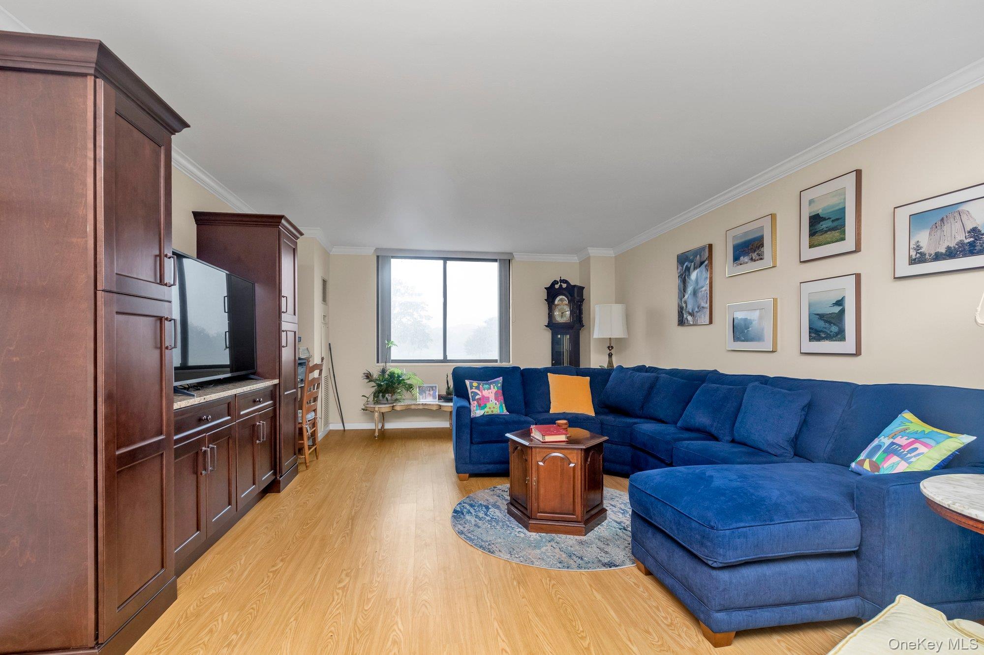 269 Grand Central Parkway, Unit 4V Queens, NY 11005 - Photo 4 of 26
