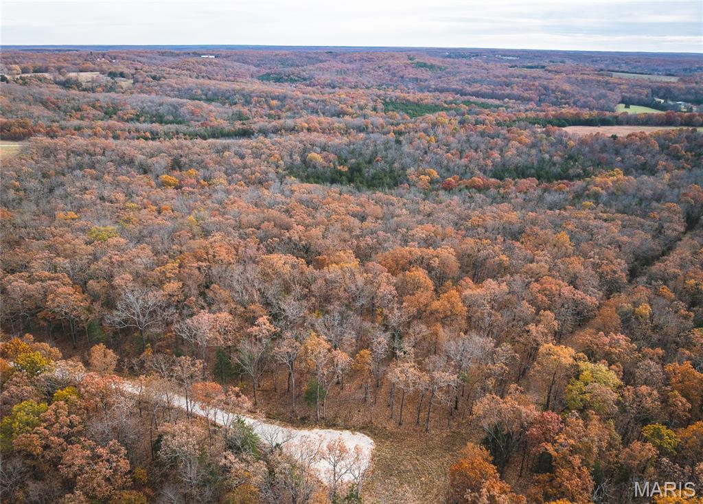 Lot #22 Private Drive Rolla, MO 65401 - Photo 3 of 3