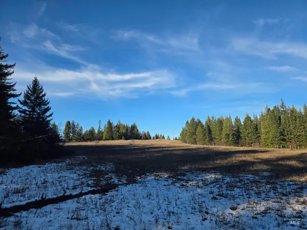 $228,000 | 407 Memory Lane, Orofino, ID 83544