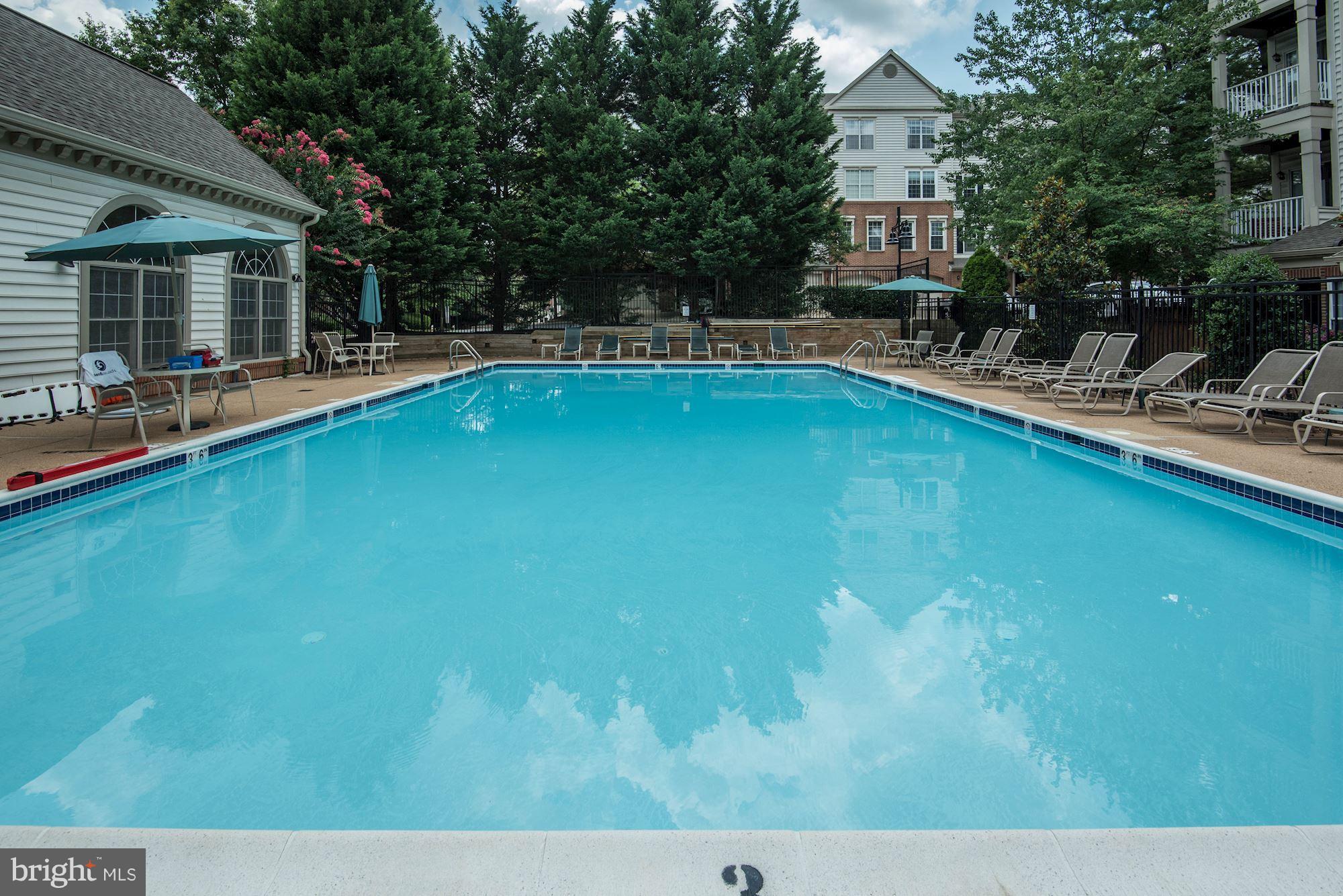 4668 West Braddock Road Alexandria, VA 22311 - Photo 24 of 29 Large outdoor swimming pool!