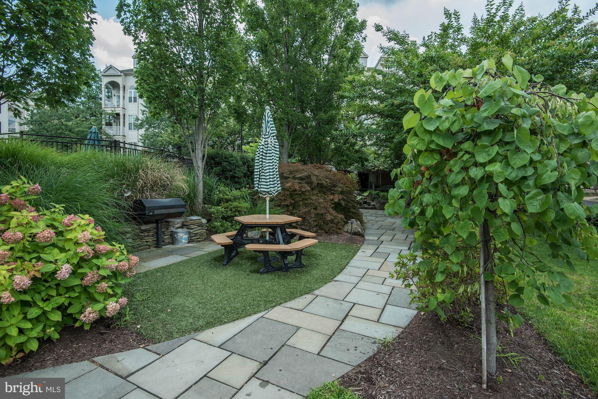 4668 West Braddock Road Alexandria, VA 22311 - Photo 26 of 29 Community Picnic Area & Grills