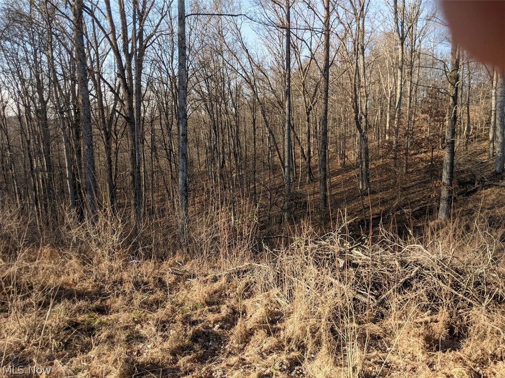 3365 Ross Run Alma, WV 26320 - Photo 18 of 28