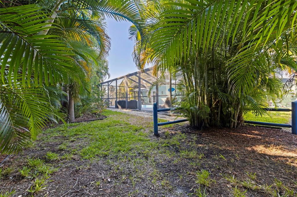 4781 97th Way North St. Petersburg, FL 33708 - Photo 35 of 47 a view of a park with a tree