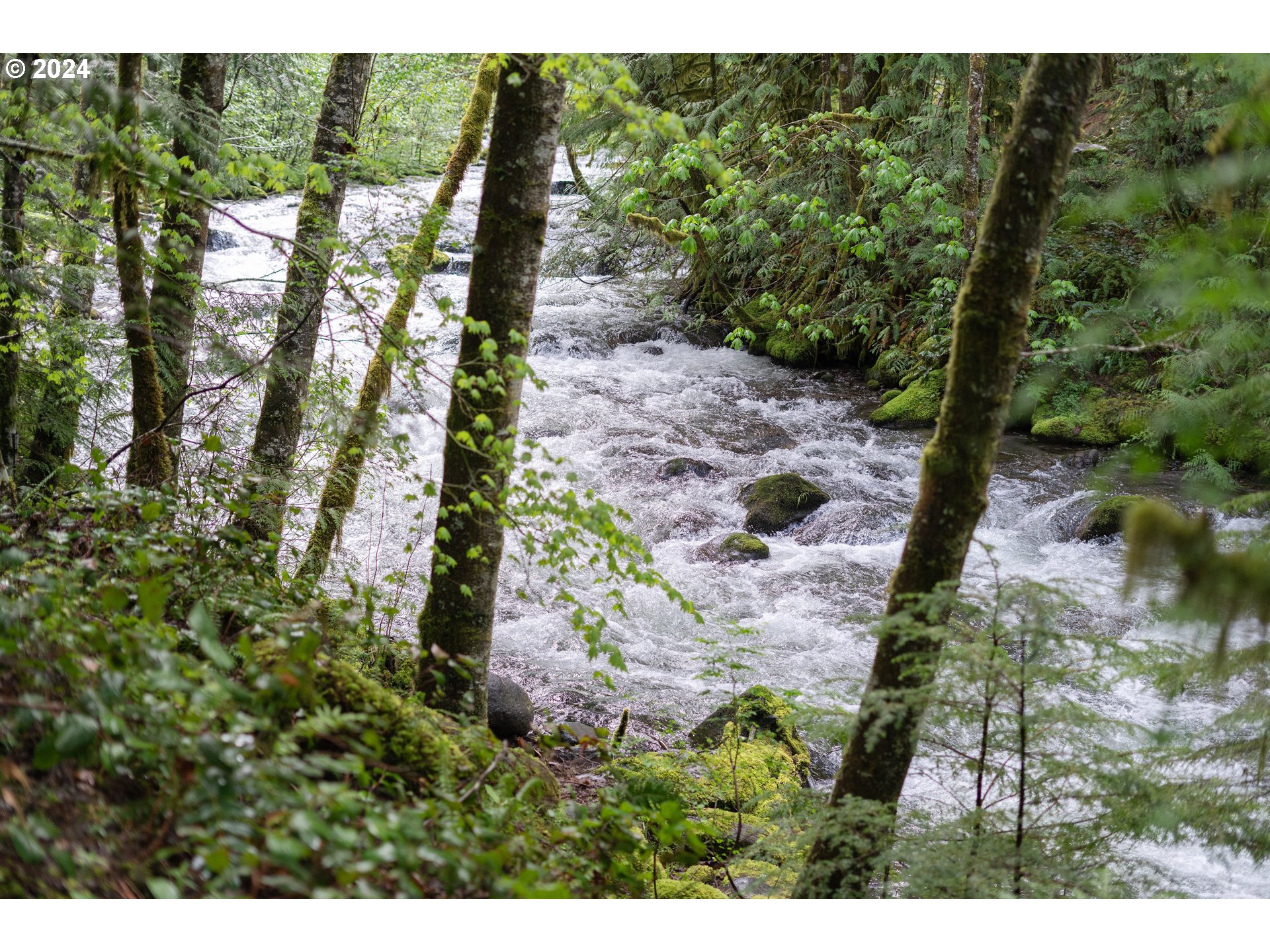 75802 East Zig Zag River Road Rhododendron, OR 97049 - Photo 21 of 35 Gallery Image 21