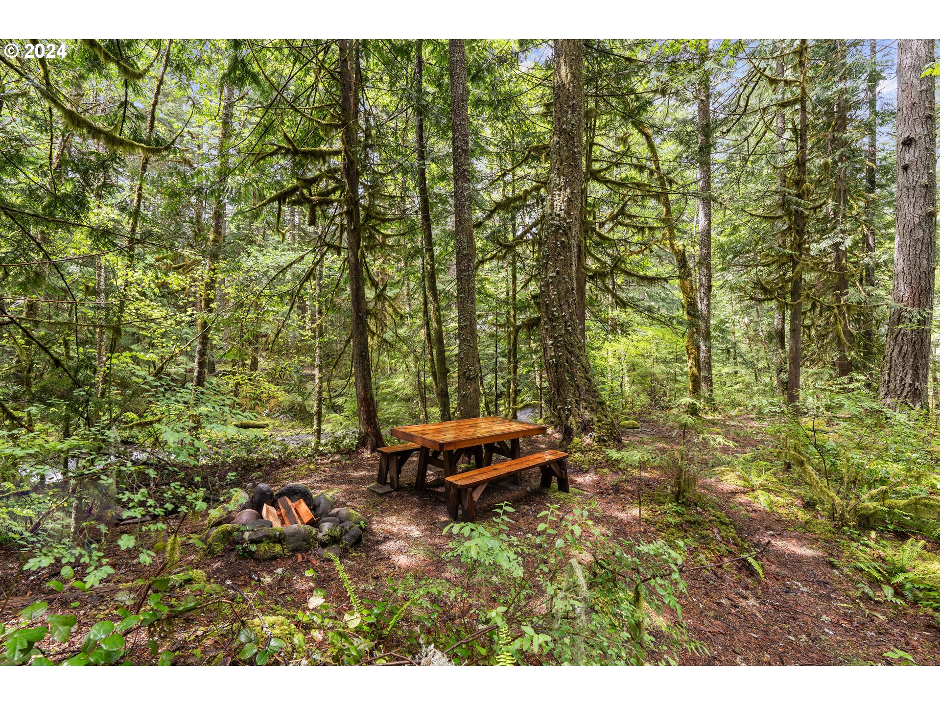75802 East Zig Zag River Road Rhododendron, OR 97049 - Photo 30 of 35 Gallery Image 30