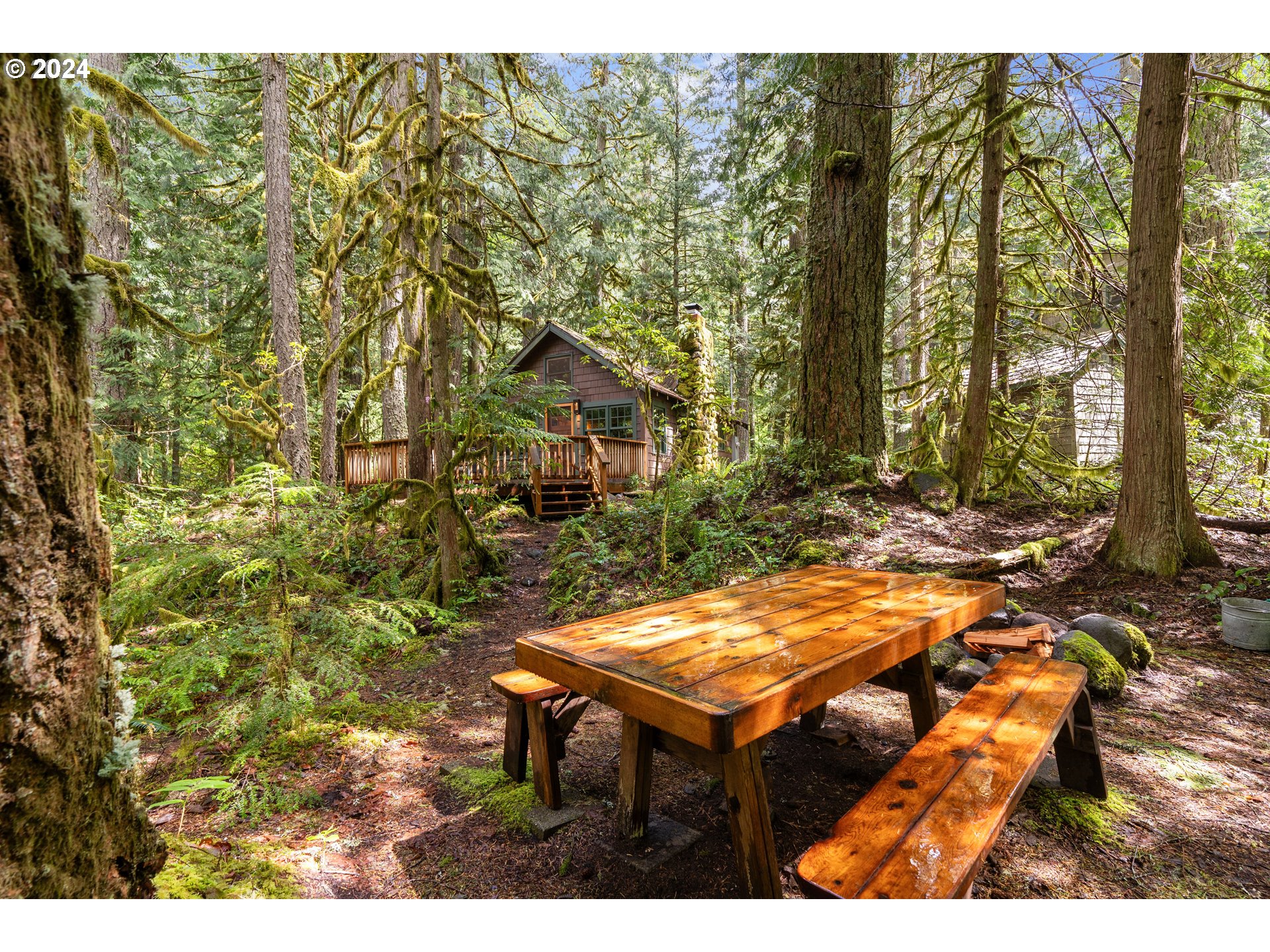 75802 East Zig Zag River Road Rhododendron, OR 97049 - Photo 31 of 35 Gallery Image 31