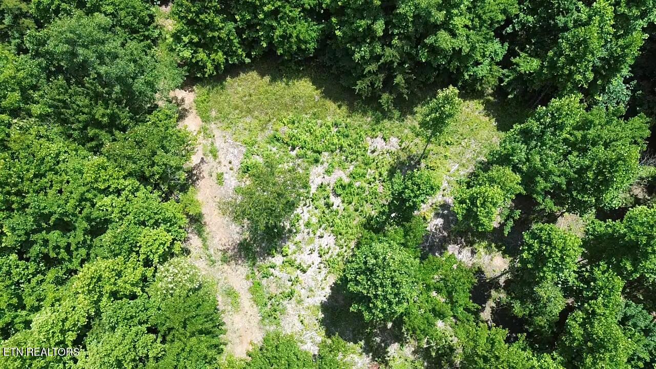 182 Nydeck Road Robbins, TN 37852 - Photo 4 of 23 2026-06-29-14-00-55-101