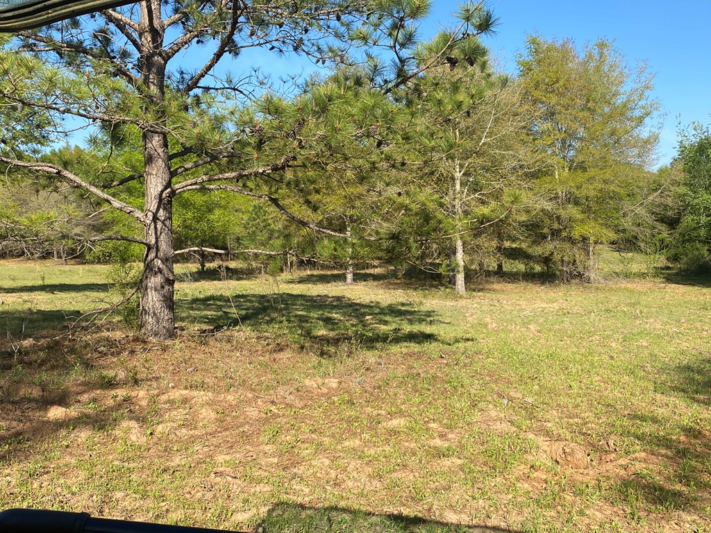 0 Co Road Abbeville, AL 36310 - Photo 39 of 53