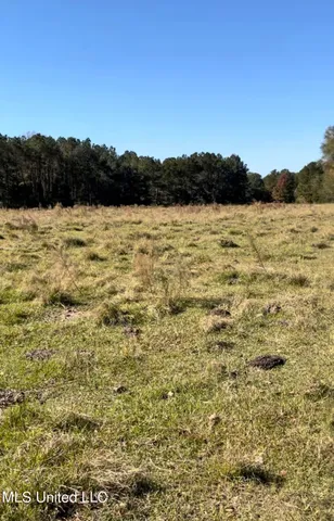 $65,000 | 1105 Chapman Road, Utica, MS 39175