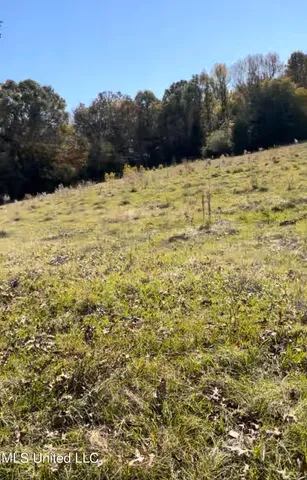 $65,000 | 1105 Chapman Road, Utica, MS 39175