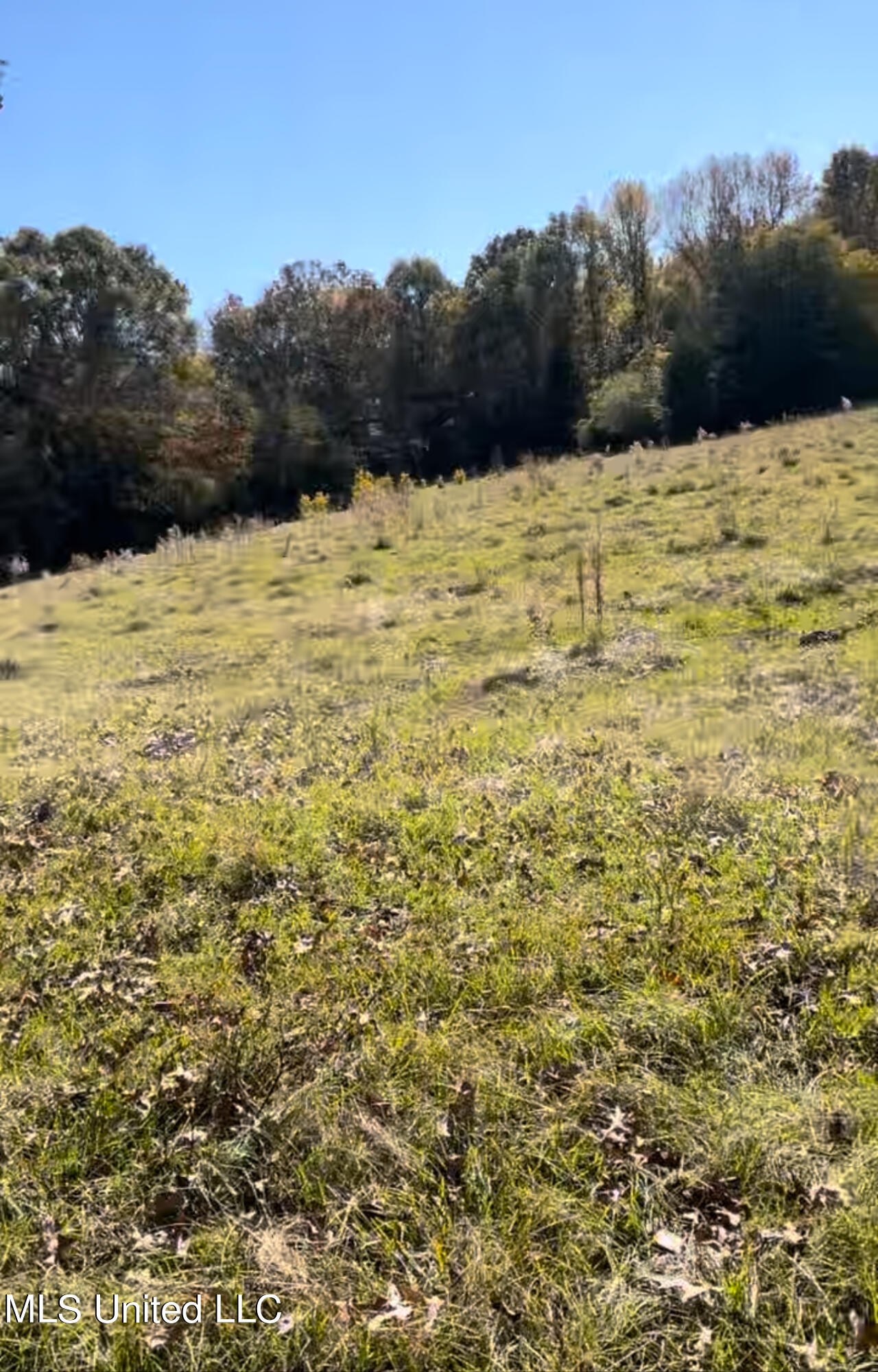 1105 Chapman Road Utica, MS 39175 - Photo 2 of 10 IMG_0419