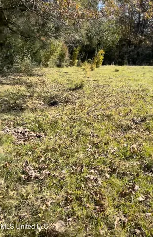 $65,000 | 1105 Chapman Road, Utica, MS 39175