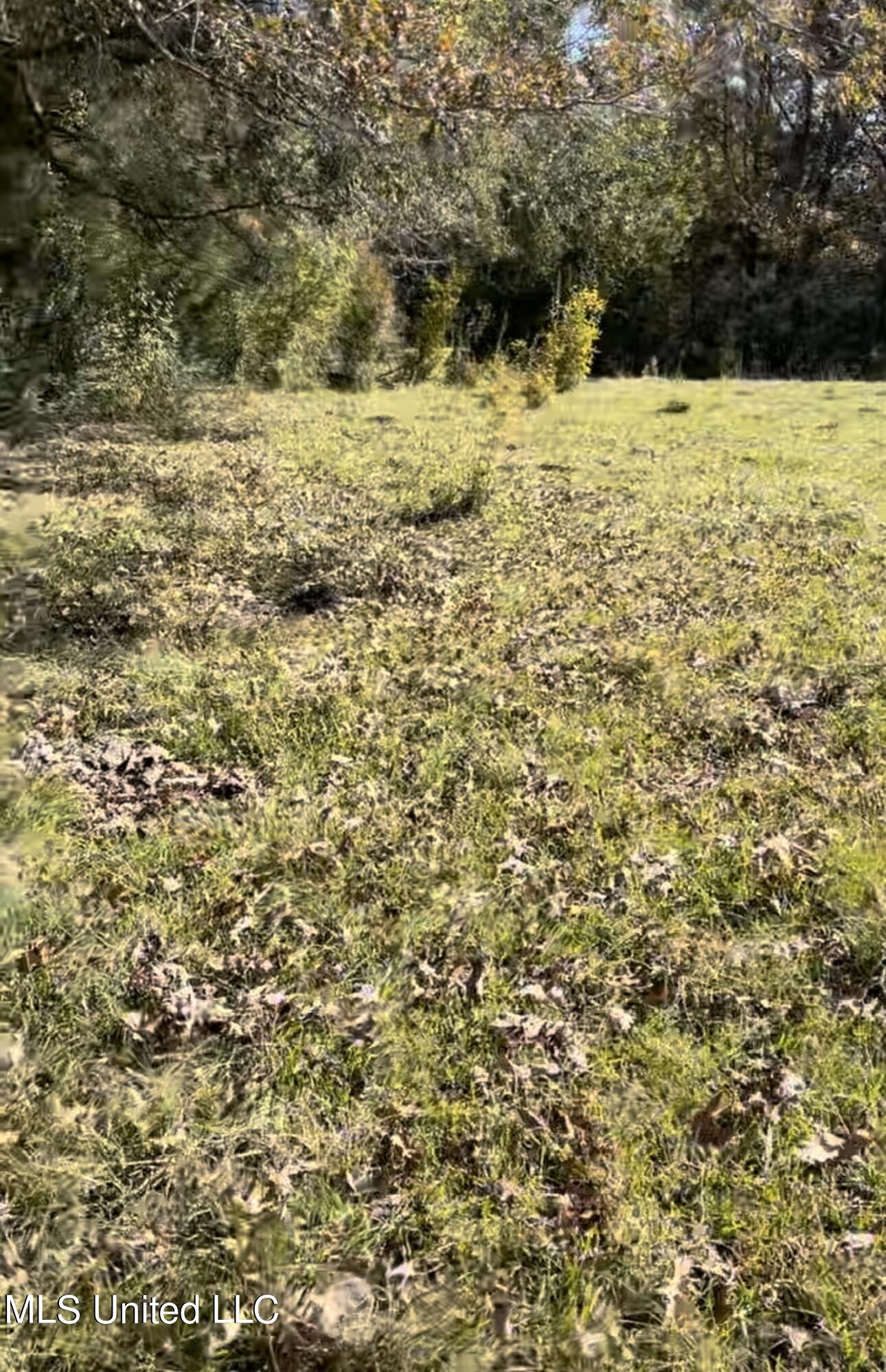 1105 Chapman Road Utica, MS 39175 - Photo 3 of 10 IMG_0421