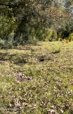 $65,000 | 1105 Chapman Road, Utica, MS 39175