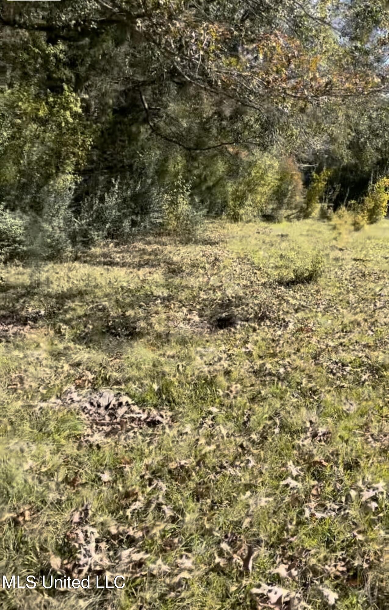 1105 Chapman Road Utica, MS 39175 - Photo 4 of 10 IMG_0422