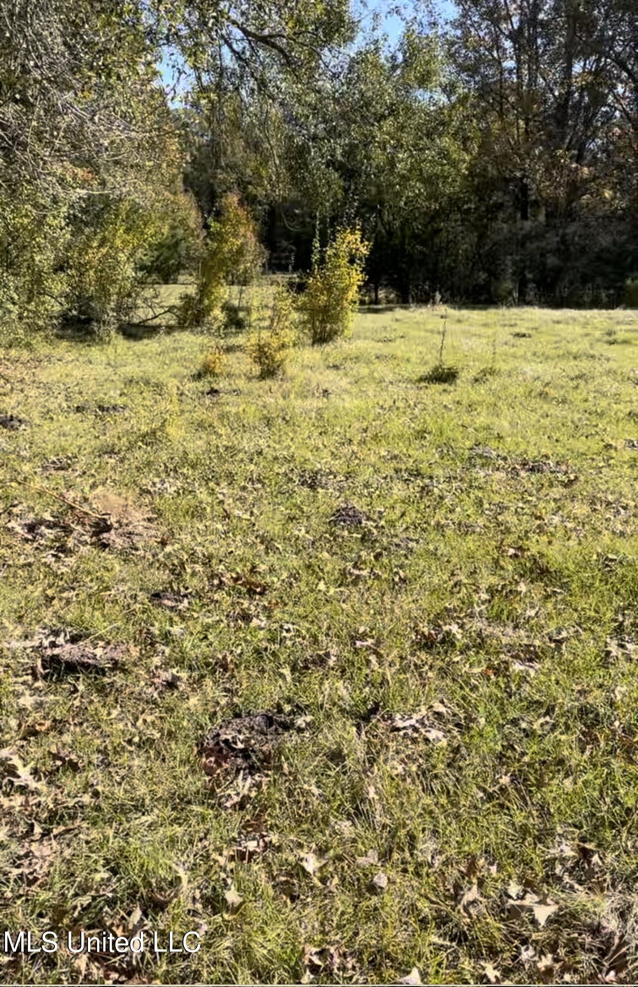 1105 Chapman Road Utica, MS 39175 - Photo 5 of 10 IMG_0423