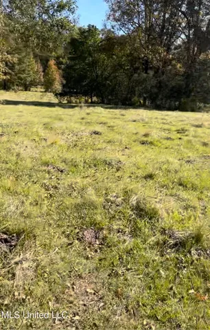 $65,000 | 1105 Chapman Road, Utica, MS 39175