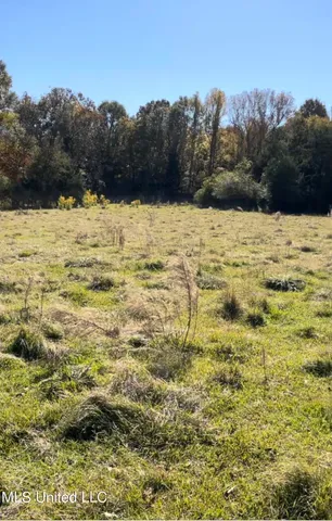 $65,000 | 1105 Chapman Road, Utica, MS 39175