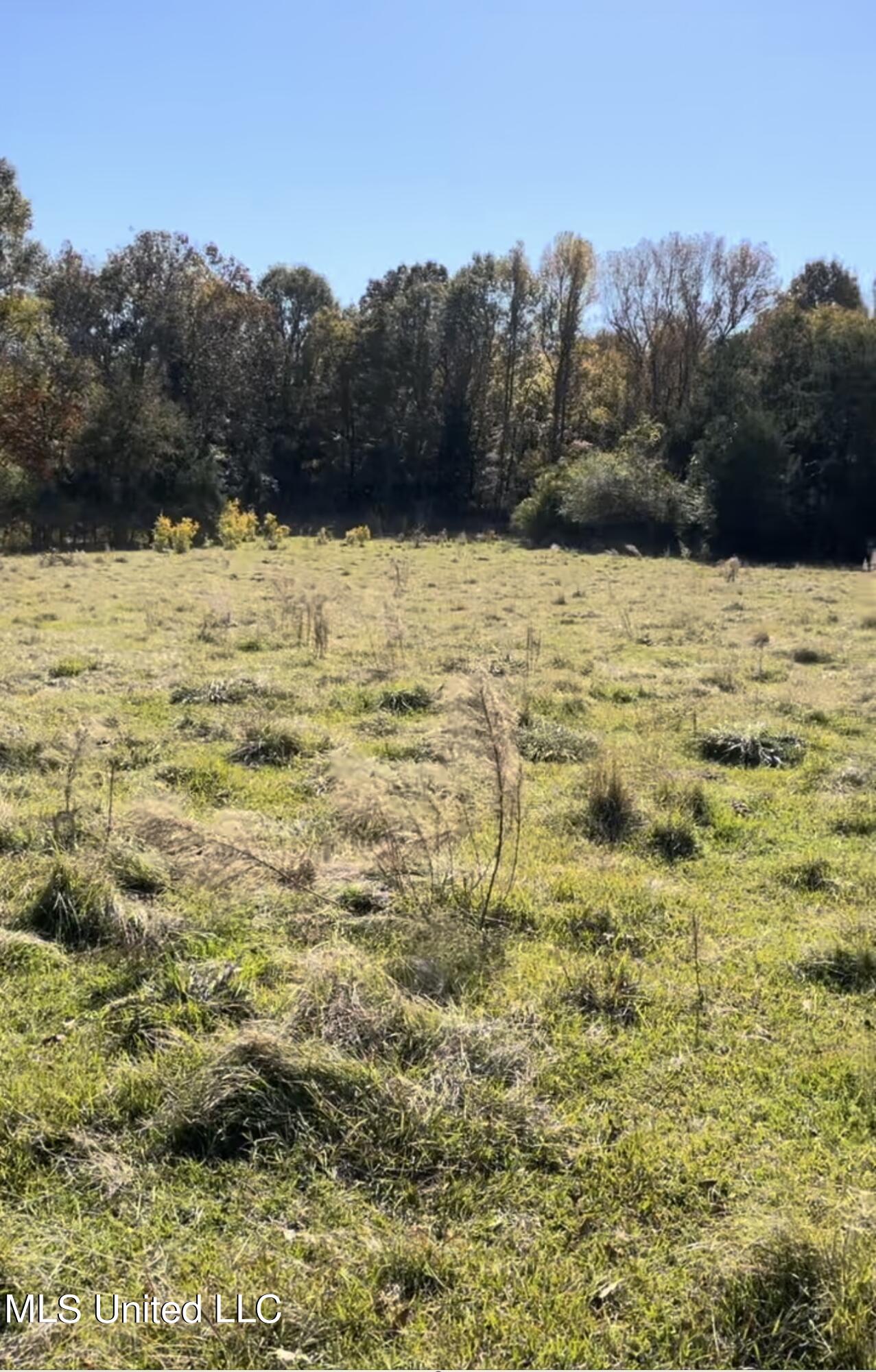 1105 Chapman Road Utica, MS 39175 - Photo 8 of 10 IMG_0426