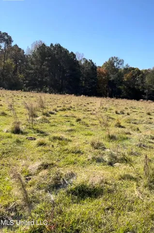 $65,000 | 1105 Chapman Road, Utica, MS 39175