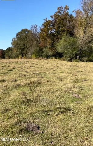 $65,000 | 1105 Chapman Road, Utica, MS 39175