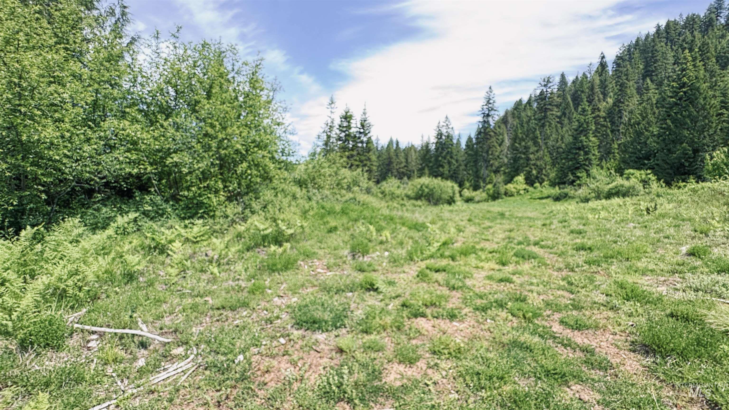 Tbd Glenwood Road Kamiah, ID 83536 - Photo 41 of 50