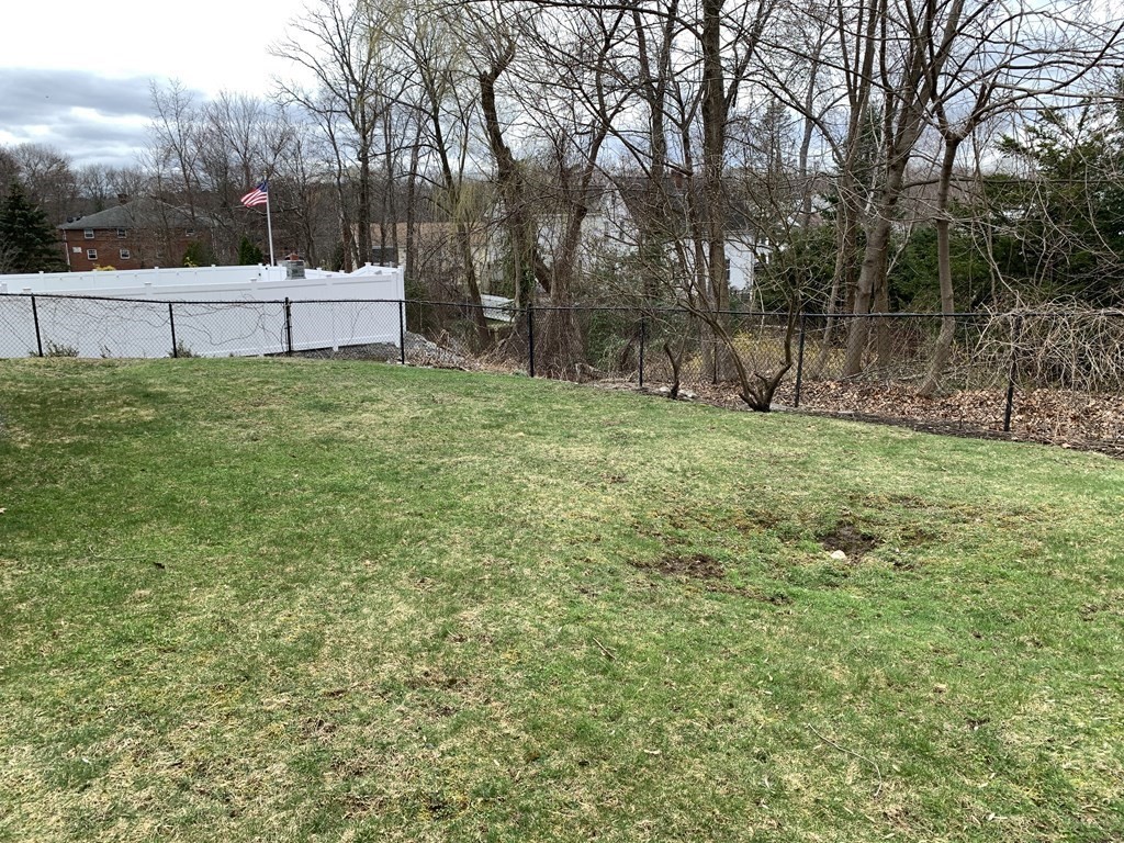 8 Reynolds Street Canton, MA 02021 - Photo 5 of 42 Gallery Image 5