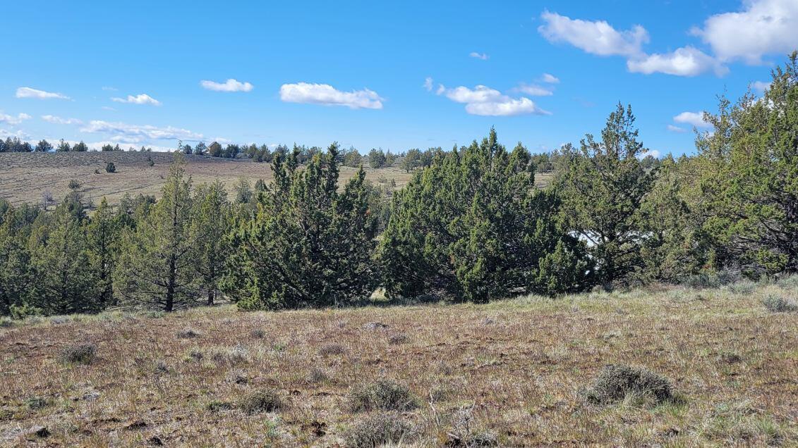 1000 Southeast Wolf Road Prineville, OR 97754 - Photo 25 of 30 image000001 (4)