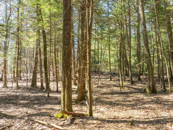 $95,000 | 0 Morrill Bend, Quechee, VT 05059