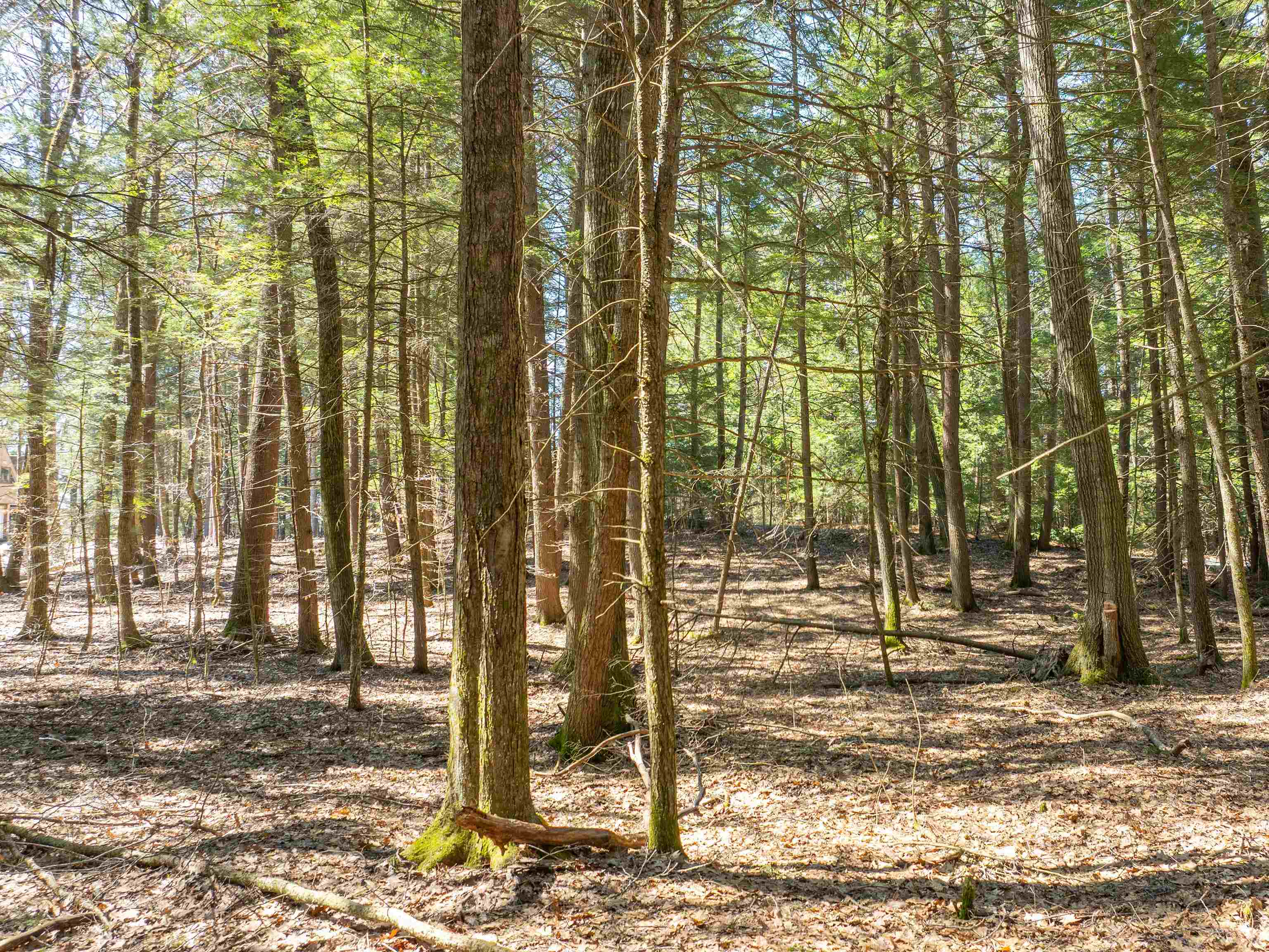 0 Morrill Bend Quechee, VT 05059 - Photo 11 of 15