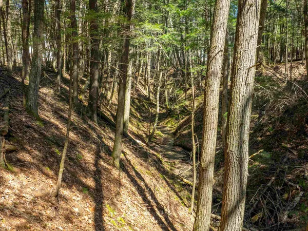 $95,000 | 0 Morrill Bend, Quechee, VT 05059