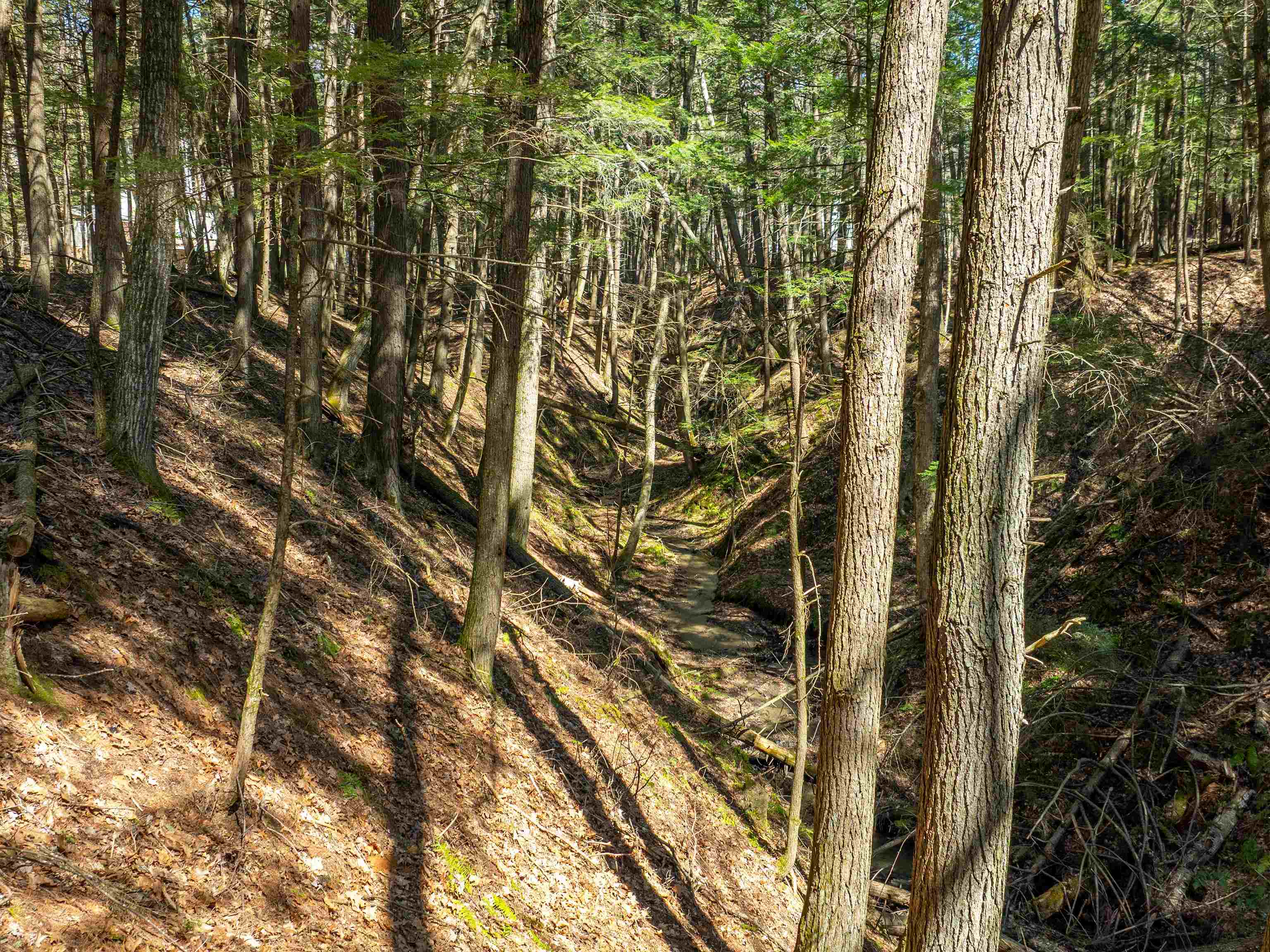 0 Morrill Bend Quechee, VT 05059 - Photo 12 of 15