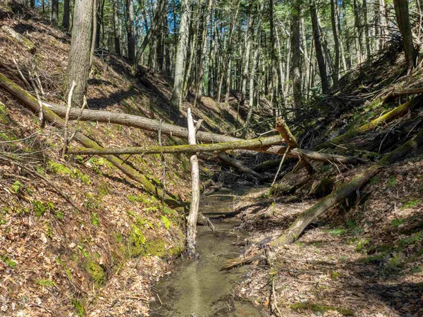 $95,000 | 0 Morrill Bend, Quechee, VT 05059