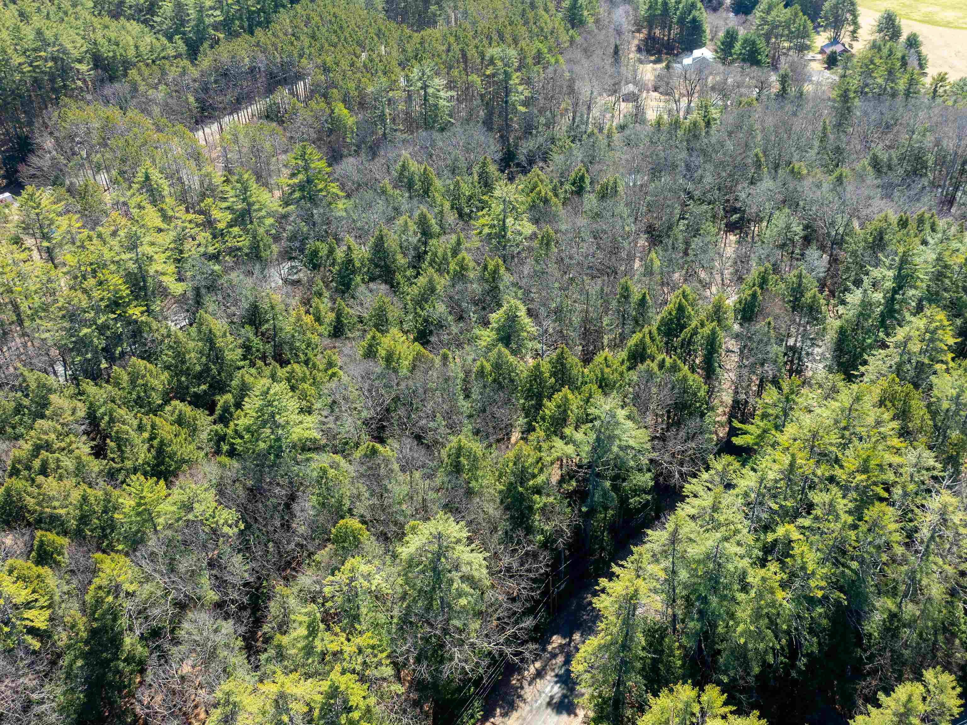 0 Morrill Bend Quechee, VT 05059 - Photo 14 of 15