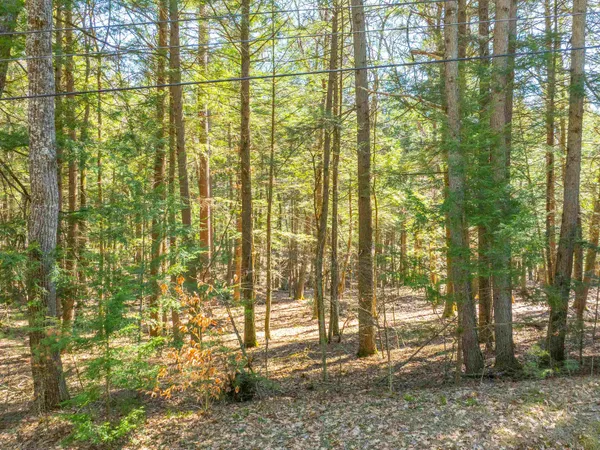 $95,000 | 0 Morrill Bend, Quechee, VT 05059