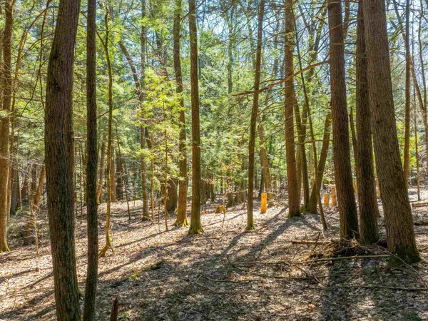 $95,000 | 0 Morrill Bend, Quechee, VT 05059