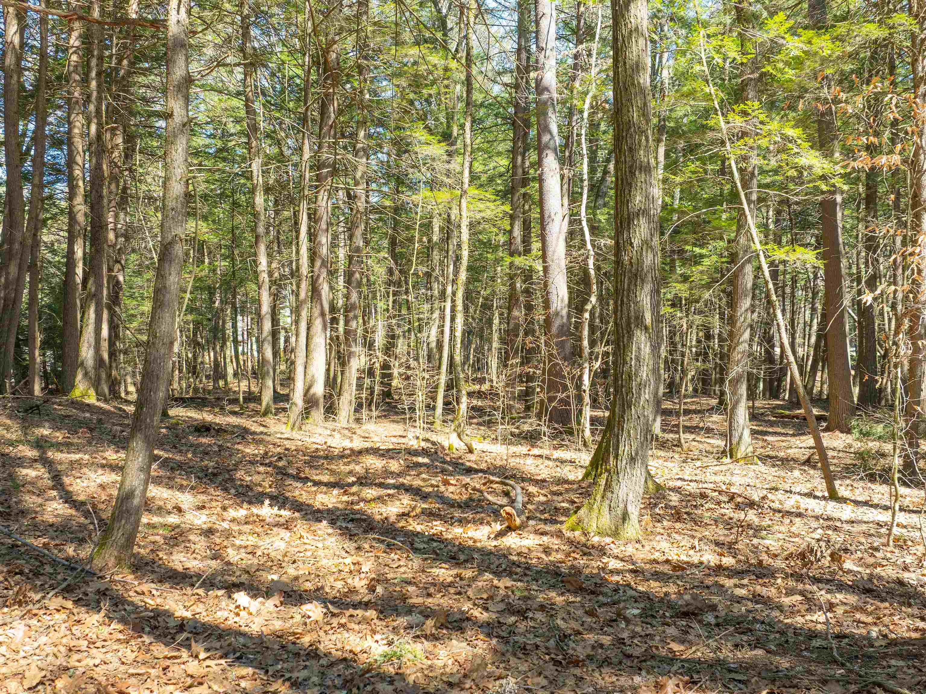 0 Morrill Bend Quechee, VT 05059 - Photo 6 of 15