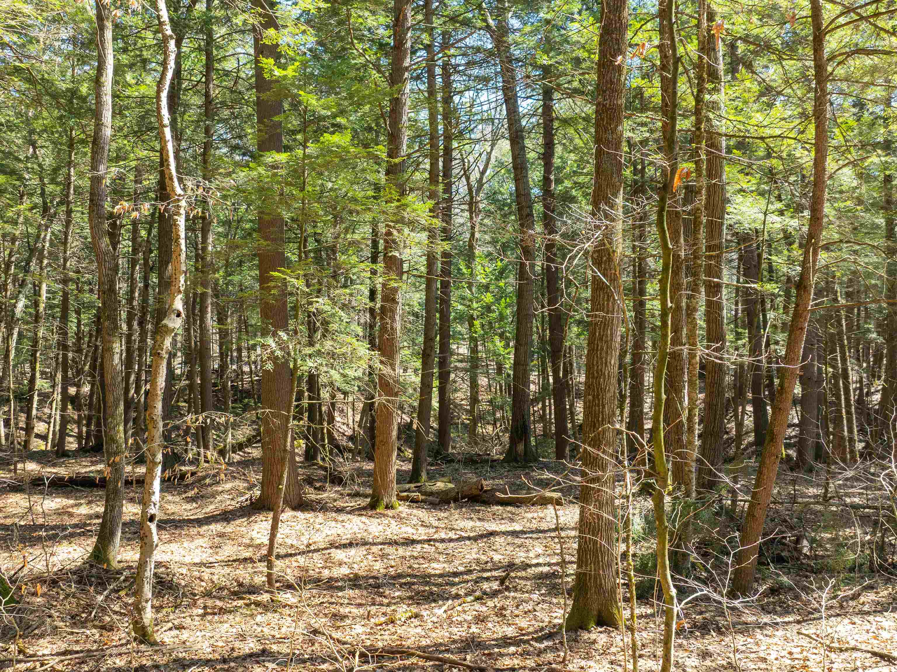 0 Morrill Bend Quechee, VT 05059 - Photo 7 of 15