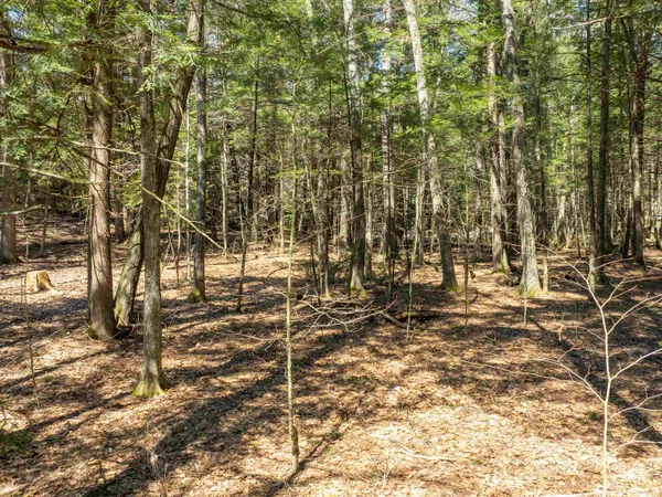 $95,000 | 0 Morrill Bend, Quechee, VT 05059