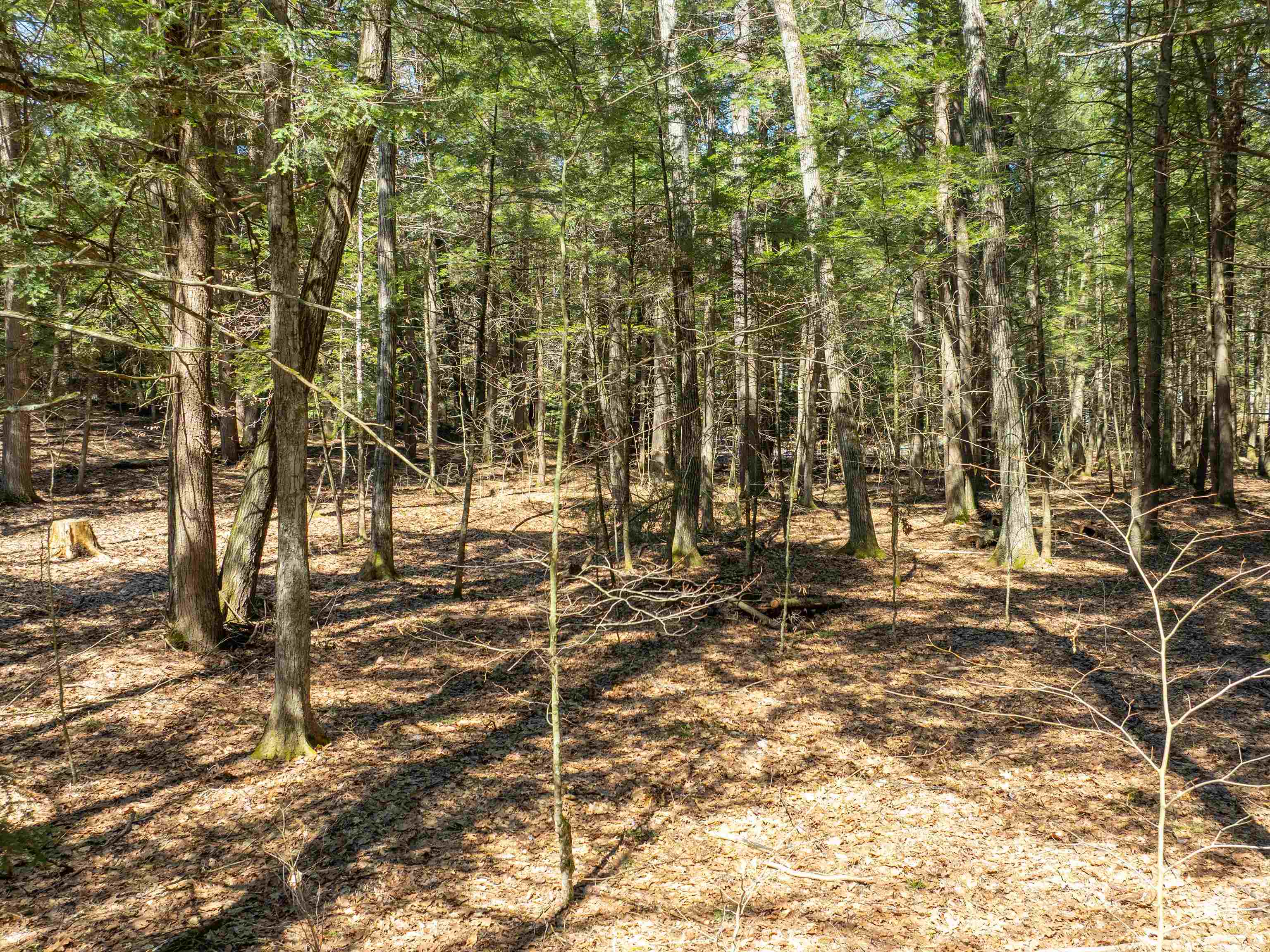 0 Morrill Bend Quechee, VT 05059 - Photo 8 of 15