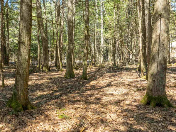 $95,000 | 0 Morrill Bend, Quechee, VT 05059