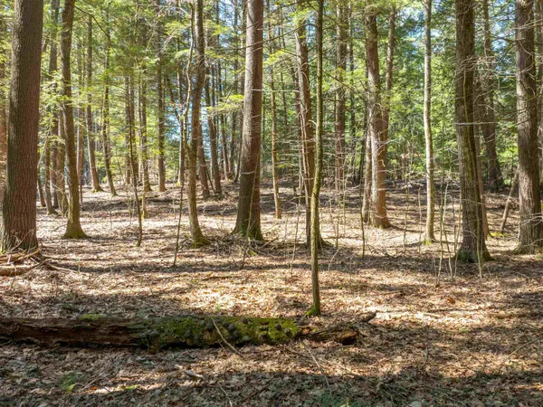 $95,000 | 0 Morrill Bend, Quechee, VT 05059