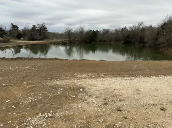 a close up of a plant