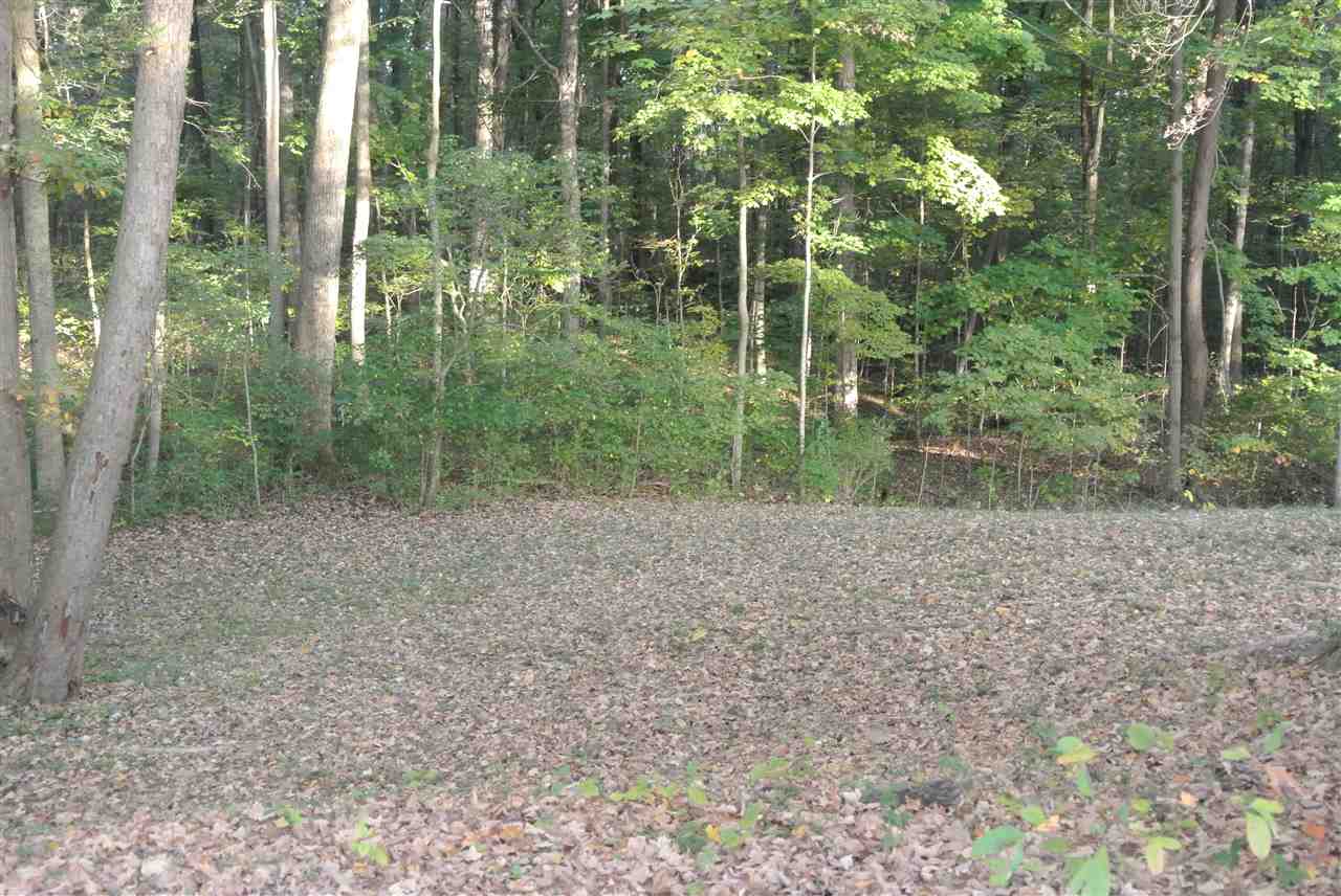 8779 West State Road Bloomington, IN 47403 - Photo 4 of 18