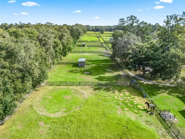 a view of a big yard with large trees