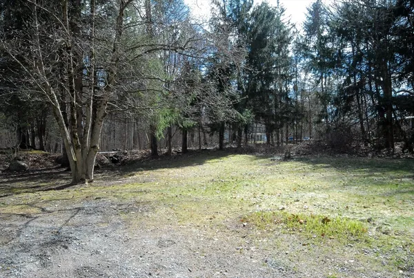 a view of a yard with a tree