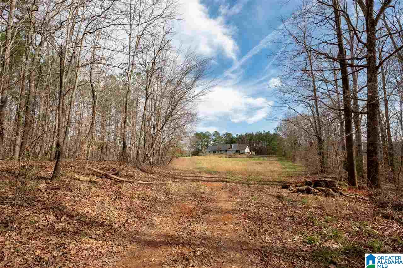1295 Crawford Cove Road Springville, AL 35146 - Photo 27 of 27